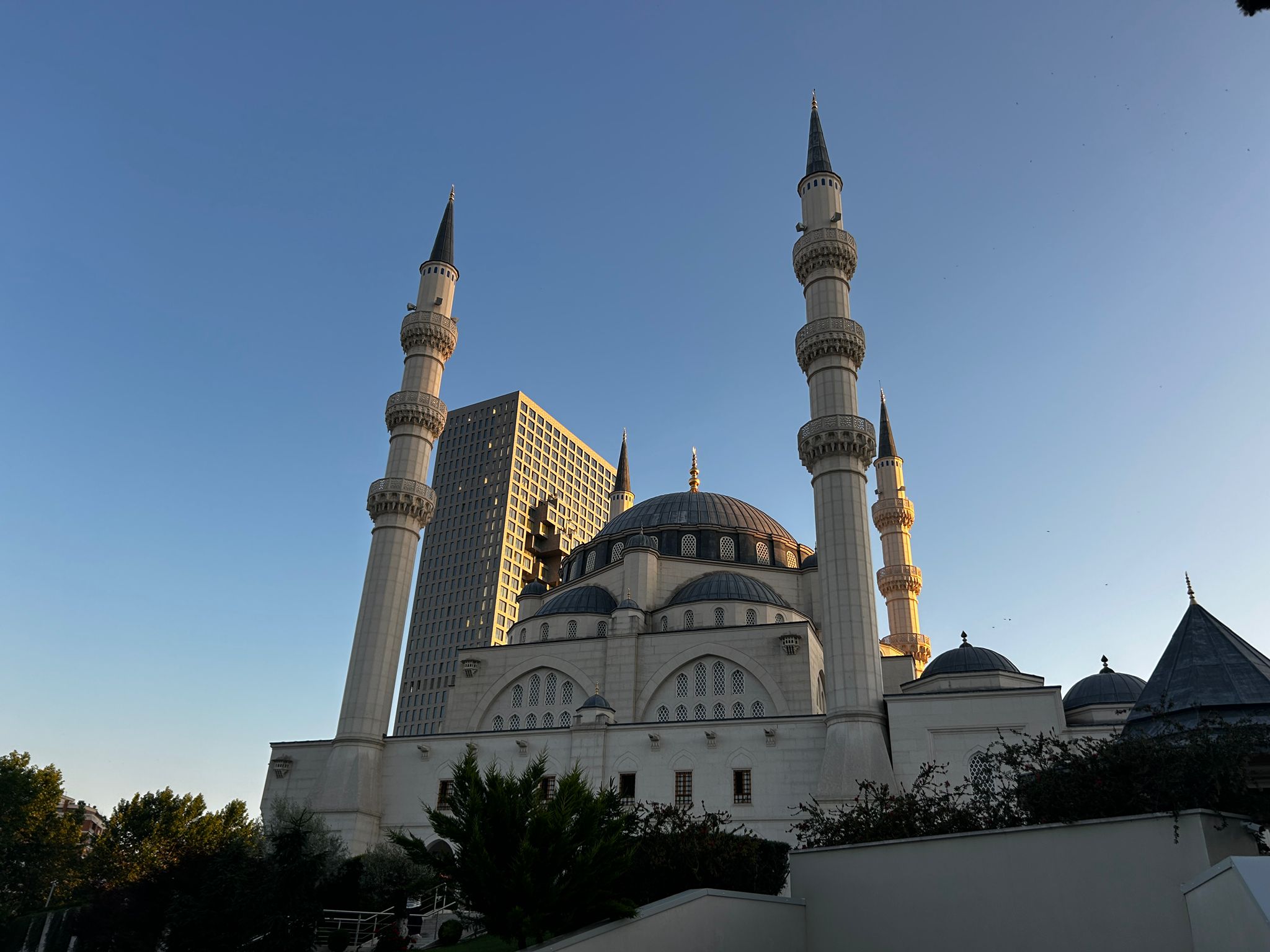 {{brizy_dc_image_alt imageSrc=